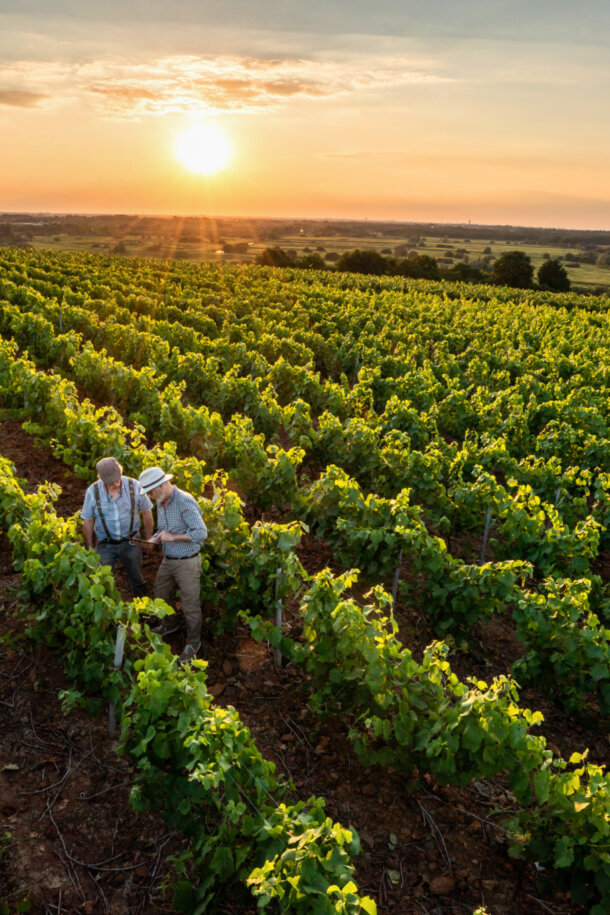 UX Men craft your tast